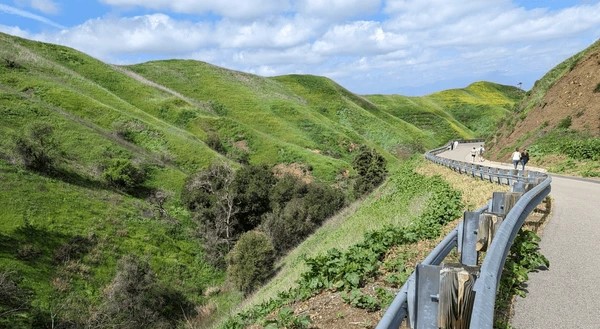 K-1139 Chino Hills State Park – It Turned Out to Be Social