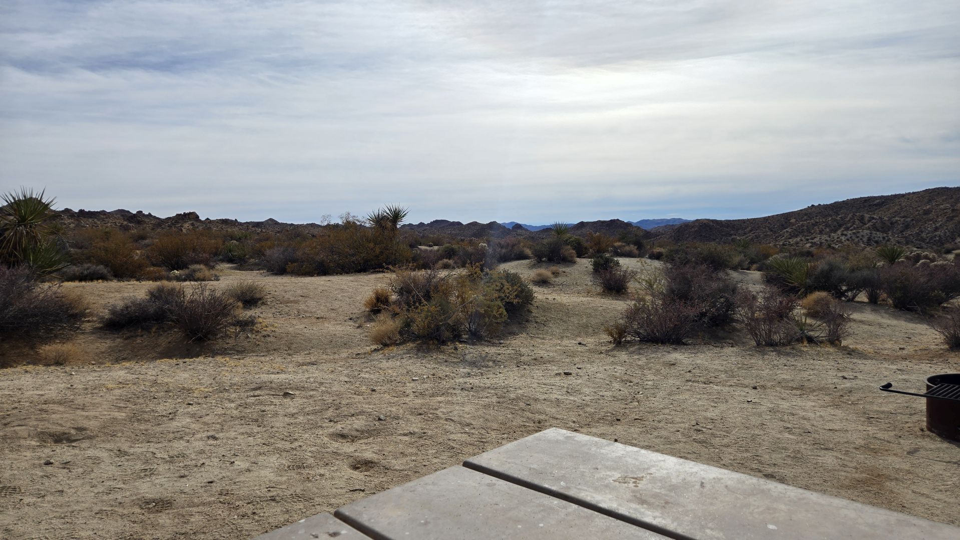 US-0041 Joshua Tree National Park – From Dawn to Dusk